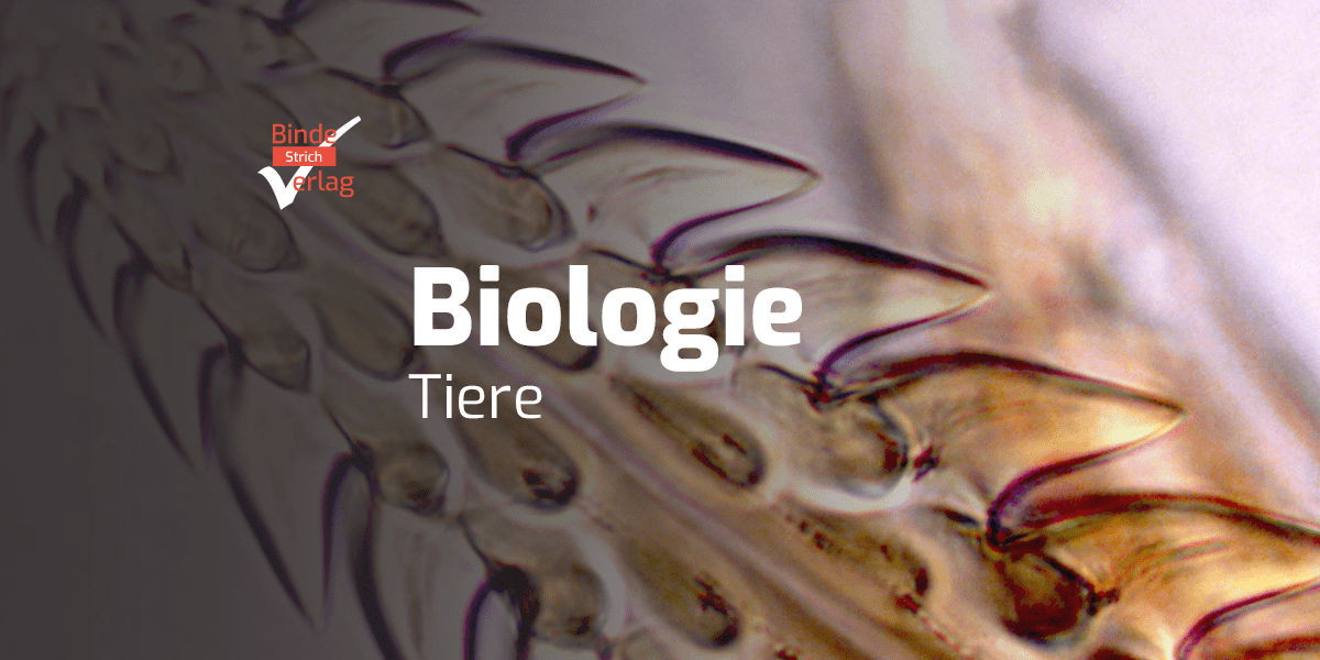 Biologie Tiere Binde Verlag Gbr 